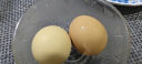1号会员店 可生食标准鲜鸡蛋20枚 1号会员店自有品牌 源头直发 晒单实拍图