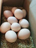 散养土鸡蛋 谷物蛋初生鲜鸡蛋 农家山林谷物喂养笨鸡蛋柴鸡蛋 【小份尝鲜】10枚 S级谷物蛋(40g±5g)/枚 实拍图