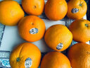 树上捞美国新奇士3107黑标橙子 当季澳洲甜脐橙大果新鲜水果礼盒 5斤带箱精品单果200g+/性价比高 晒单实拍图