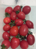 京百味山东圣女果 1.5kg装 千禧贝贝小西红柿 新鲜蔬菜源头直发 实拍图