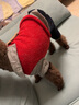 喵先生 宠物狗狗衣服小型犬泰迪衣服冬季狗衣服小狗幼犬衣服四脚棉 红色格子四脚裤L码 建议8-11斤内 实拍图