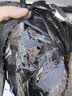 工地上班鞋解放鞋男工地耐磨劳动帆布鞋男劳保春季透气防滑鞋保安上班工作鞋 黑色 解放鞋 39 实拍图
