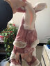 华元宠具（hoopet）猫咪衣服幼猫可爱四脚装冬季冬天保暖布偶猫无毛猫衣服宠物防掉毛 粉色兔耳朵四脚装-带绒款 XS-(建议1-3斤) 实拍图