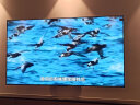 TCL电视 75V8E 75英寸 120Hz 高色域 2+32GB MEMC防抖大屏 4K高清 客厅液晶智能平板电视机 晒单实拍图