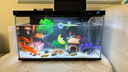 SOBOsobo 鱼缸氧气泵水族箱增氧泵 鱼池打氧养鱼鱼缸充氧泵 增氧机 2米管+2个石+2个止流阀 实拍图