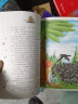 骑鹅旅行记 国际大奖儿童文学读物快乐读书吧六年级下册阅读小学生三四五六年级课外阅读书籍青少年儿童必读名著故事书 实拍图