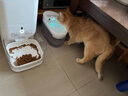 CATLINK自动喂食器猫咪定时定量智能宠物猫粮狗粮不卡冻干投喂器远程控制 喂食器标配版+无线智能饮水机 实拍图