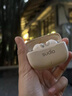SUDIO A1Pro 真无线降噪耳机 入耳蓝牙耳机 男女高颜值礼物 适用于苹果华为小米系统 IPX4级防水 奶茶色 实拍图
