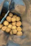 三只松鼠多味花生 坚果炒货地方特产休闲零食花生米205g/袋 实拍图