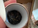 勐昌號普洱茶小金砖熟茶云南勐海糯米香熟普36g 2014年茶料砖茶盒装茶叶 实拍图
