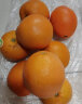 玖原农珍 赣南脐橙现摘新鲜榨汁水果橙子 冰糖甜橙非褚健橙 橙子5斤普箱大果（70-80mm） 实拍图