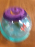科学罐头埃尔顿多功能动物昆虫观察桶儿童玩具开学礼物小孩玩具steam教学男女孩生日节日礼物礼盒 实拍图