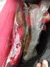 祥盈升婚房布置全套男方女方布置卧室结婚装饰房间气球拉花婚庆装饰用品 浪漫婚房豪华套装20件套 红色 实拍图