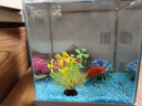 长锐侧滤鱼缸桌面办公室免换水生态水草超白水族箱 K260造景版【长27 宽21 高30】 实拍图