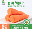 旭耕有机胡萝卜家庭装有机认证萝卜屯货婴孕健康轻食新鲜有机蔬菜 3斤 实拍图