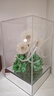 JoyFlower永生花蒲公英相框摆件生日礼物毕业礼品结婚纪念日送女生朋友老师 实拍图