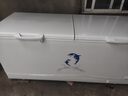 澳柯玛（AUCMA）737升家用大容量冰柜 卧式大冰箱 冷藏冷冻单温冷柜 商超雪糕柜 一级能效 BC/BD-737TC 国家补贴 实拍图