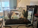 森森（SUNSUN） 鱼缸过滤器壁挂式外置过滤泵水族箱过滤器 HBL-402 2W【带除油膜】适合20-50鱼缸 实拍图