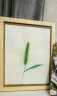 墨斗鱼  原木纹A4相框 欧式木质摆台创意框 照片框相片挂墙画框极简相框 实拍图