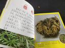 植物·好奇心大百科丛书全彩大图注音版 科学启蒙认知大百科读物小学生课外科普阅读 实拍图