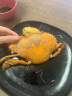 【活蟹】掌昕鲜三门青蟹 膏全母蟹（6-7两/只）3只 生鲜活螃蟹海鲜水产送礼盒非帝王蟹 实拍图