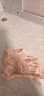 猫人儿童内裤女童4条装棉平角小女孩四角宝宝女中大童棉短裤不夹pp 428瓶罐猫咪 4条 150 实拍图