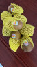 佳沛（zespri）预售 新西兰阳光金奇异果30-33粒原箱单果重约103-124g水果猕猴桃 实拍图