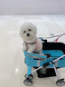 DO DO PET分离式宠物推车中小型犬猫咪外出手推车轻便折叠泰迪柯基狗狗推车 蓝色-建议狗狗35斤内，猫咪2-3只 实拍图
