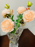 凉笙仿真牡丹花玫瑰花束婚庆家居客厅落地装饰软装搭配干花假花绢花插花摆件 香槟色-单枝 实拍图