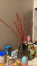 九月生银柳真花10支新年装饰鲜枝干花摆件室内绿植物招财年宵花卉盆栽 实拍图