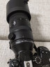 奥之心（OM SYSTEM）150-600mm F5.0-6.3 IS 超长焦变焦镜头 奥林巴斯微单相机镜头 等效300-1200mm 实拍图