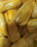 鲜贡园大果海南黄肉菠萝蜜25-30斤一整个新鲜当季热带木波罗蜜生鲜水果 晒单实拍图