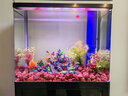 森森（SUNSUN）热弯鱼缸水族箱底过滤高清玻璃金鱼缸含灯过滤器 0.6米长30cm宽54cm缸高 底滤黑色 实拍图