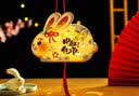 欧妮姿中秋灯笼diy手工制作材料中秋节儿童花灯兔子灯幼儿园中秋佳节兔 实拍图