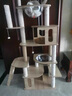 CHONLDERL猫爬架猫窝猫树一体大型太空舱猫架子四季通用剑麻猫咪玩具用品 【175CM 10层双太空舱】奥斯汀AST-1 实拍图