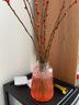 雪柳干枝水插花水培鲜花室内遇水开花客厅阳台观花绿植雪柳花鲜枝水养年宵花卉植物 银柳红色10支80厘米高 不含瓶 实拍图