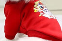 喵先生宠物狗狗衣服小型犬泰迪衣服冬季猫咪狗衣服小狗衣服透气两脚卫衣 红色舞狮款L码建议（7-9斤） 实拍图