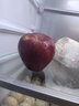 源外甘肃花牛果苹果 天水红蛇苹果当季新鲜粉糯宝宝刮泥面水果生鲜 净重4.5-5斤小果 实拍图