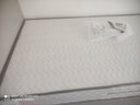 海马飞雪床垫席梦思天然椰棕乳胶独立弹簧床垫酒店厚薄双人家用榻榻米垫子 22cm双面款(乳胶+独立弹簧+椰棕) 1.2x2米 实拍图