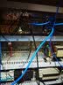 普联（TP-LINK）工业级以太网交换机5口8口百兆和千兆DIN导轨安装耐高温75度TP工业交换机企业网络分线器分流器 TL-SG2005工业级 5口千兆WEB网管 实拍图
