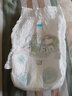 帮宝适（Pampers）清新帮 成长裤 拉拉裤 学步裤 小内裤裤型尿不湿 加大号XL34片 实拍图