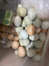 我老家鲜谷物喂养新鲜散养绿壳蛋乌鸡蛋 30枚 净重2.28斤 实拍图
