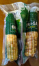 京鲜生 西双版纳香糯小玉米 净重4斤 礼盒装 低脂粗粮 多种包装随机发货 实拍图
