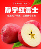 陇原红【顺丰到家】静宁苹果甘肃红富士苹果新鲜孕妇水果源头直发包邮 16枚85特大果礼盒装 实拍图
