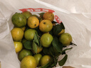 青舞正宗广东德庆皇帝柑贡柑新鲜水果精选大果非沃橙橘桔子装孕妇水果 10斤礼盒装严选中大果（净9.2斤） 实拍图