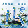 云南白药【采销推荐】经典薄荷护龈牙膏囤货装清新口气改善牙龈问题210g*3 实拍图