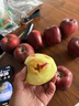源外甘肃花牛果苹果 天水红蛇苹果当季新鲜粉糯宝宝刮泥面水果生鲜 12枚中果礼盒装 实拍图