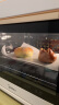 美的（Midea） 多功能电烤箱家用32L 3D热风 搪瓷内胆 双层门保护电烤箱T3-L324D三代 高颜值 搪瓷内胆 实拍图