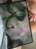 华为平板电脑MatePad Pro 12.6英寸2022款 WGRR-W09/W19 麒麟9000E游戏网课办公二合一平板电脑 12G+256G WiFi版 曜金黑 官方标配+活动礼包 实拍图