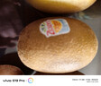 佳沛（zespri）新西兰  阳光金奇异果10粒礼盒巨大果单果约144-175g 水果 猕猴桃 实拍图